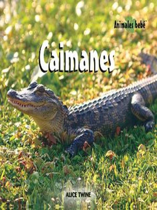 Title details for Caimanes (Alligators) by Alice Twine - Available